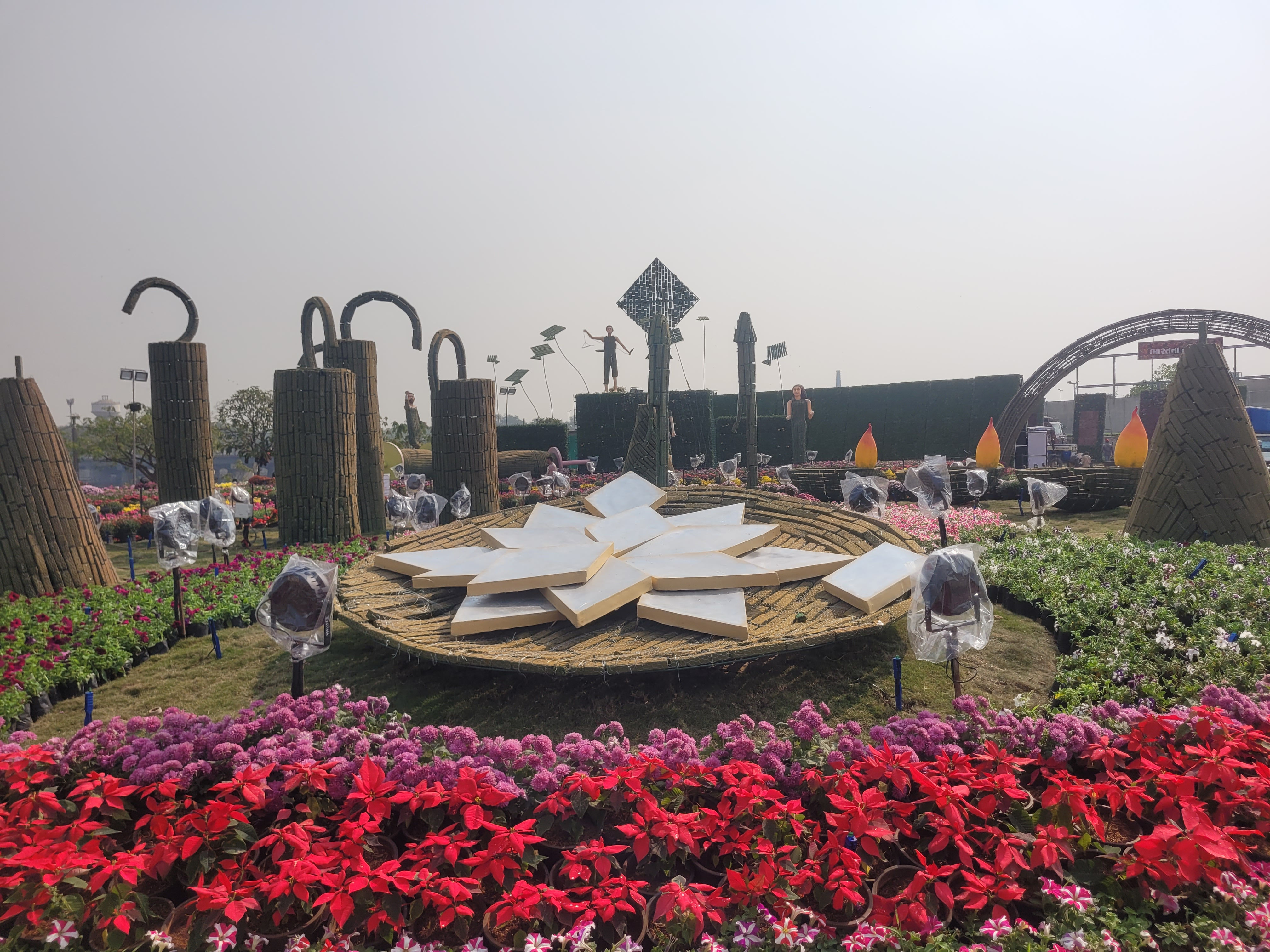 અમદાવાદમાં ફૂલોનો મનમોહક દરિયો! 1 જાન્યુઆરીથી ફ્લાવર શોનો પ્રારંભ, જાણો મુખ્ય આકર્ષણો અને ટિકિટના દર 9 - image