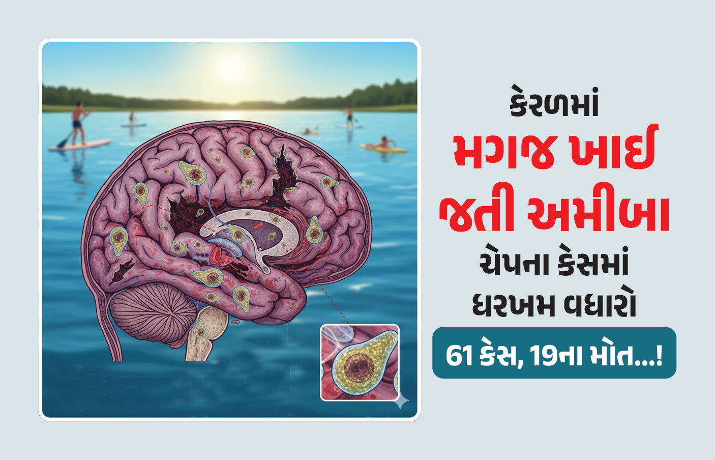 61 કેસ, 19ના મોત...! કેરળમાં 'મગજ ખાઈ જતી અમીબા'ના કારણે ફફડાટ, નવજાત બાળકથી લઈને વૃદ્ધો ઝપેટમાં 1 - image