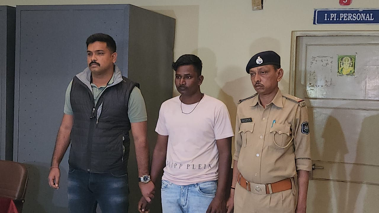 અમદાવાદમાં બિલાડી પર પથ્થરો મારી ઘાતકી હત્યા કરનારની ધરપકડ, ચોંકાવનારું કારણ આવ્યું સામે 2 - image