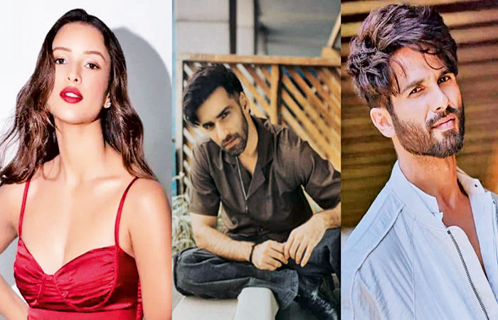 શાહિદ-તૃપ્તિની રોમિયોમાં અવિનાશ તિવારીની પણ એન્ટ્રી 1 - image