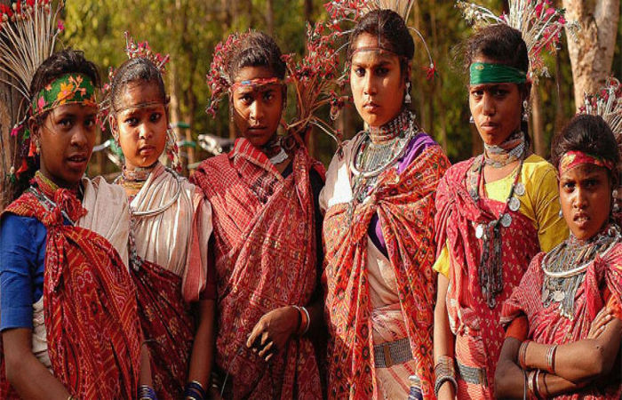 આદિવાસીઓનો ઇતિહાસ અને સંસ્કૃતિ નગરવાસીઓ સમજી નહિ શકે 1 - image