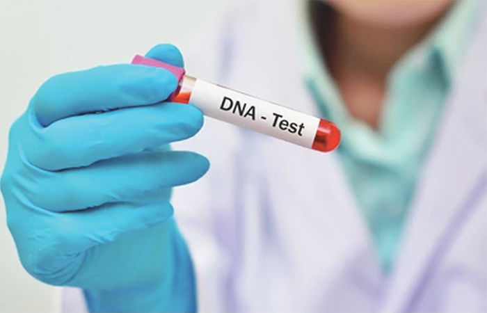 આપણે શા માટે મૃત્યુ પામીએ છીએ? DNA સાથે તેનો સીધો સંબંધ 1 - image