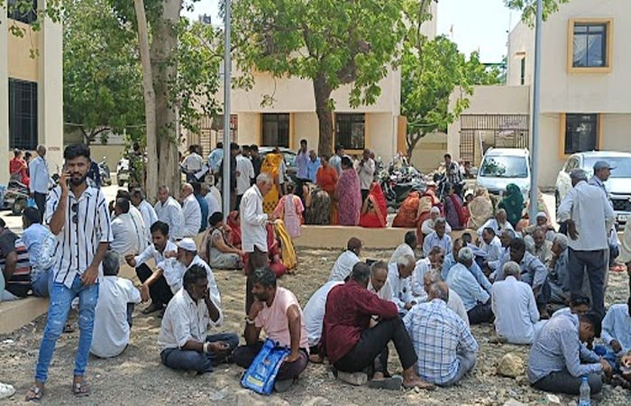 જામનગર જિલ્લામાં ગ્રામ પંચાયતની ચૂંટણીમાં ઉમેદવારી ફોર્મ ભરવાની પ્રક્રિયામાં ભારે પ્રતિસાદ 1 - image