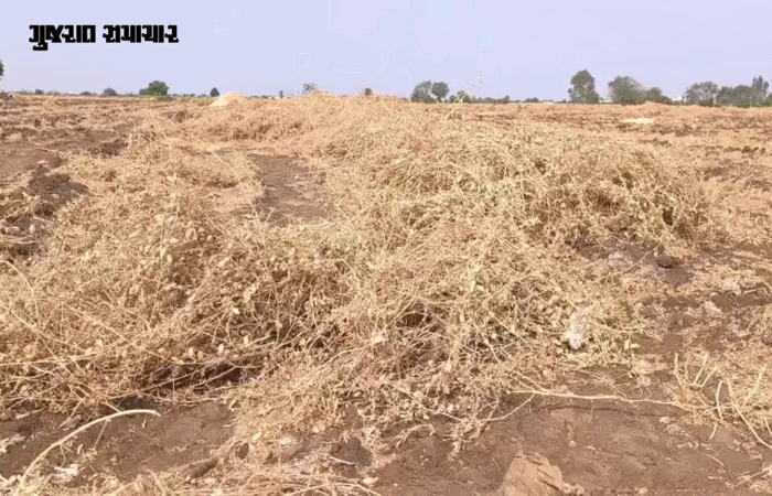 સુરતમાં કમોસમી કાળ યુવકને ભરખી ગયો, પર્વત પાટિયામાં મનપાનું ભારે ભરખમ બોર્ડ તૂટી પડતાં મોત 7 - image