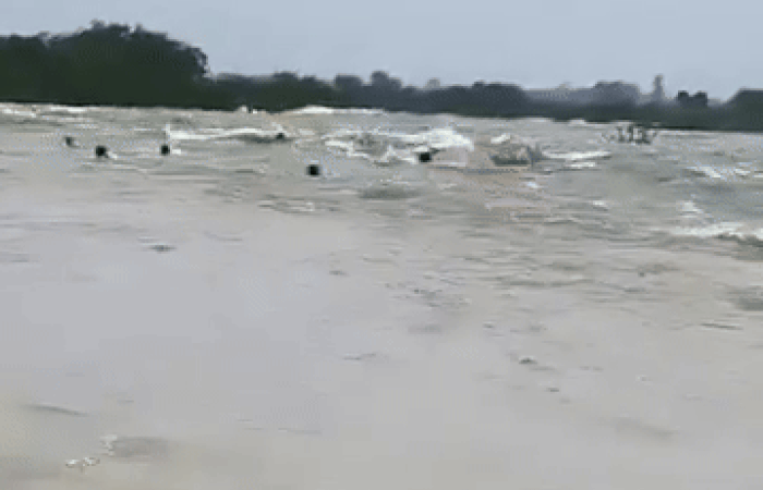 VIDEO: રાજસ્થાનના સવાઈ માધોપુરમાં મોટી દુર્ઘટના, નદીમાં બોટ પલટતા અનેક લોકો ડૂબ્યા 1 - image