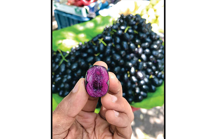અજમાવી જૂઓ . 1 - image