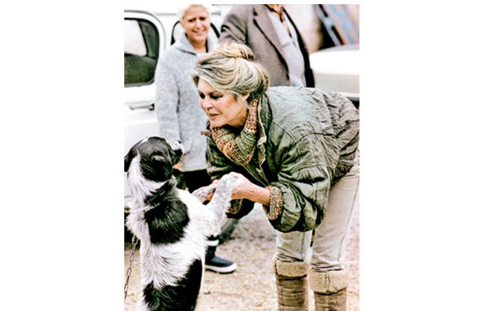 ફ્રેન્ચ અભિનેત્રી અને એનિમલ રાઈટ્સ એક્ટિવિસ્ટ બ્રિજિટ બાર્ડોનું 91 વર્ષે નિધન 1 - image