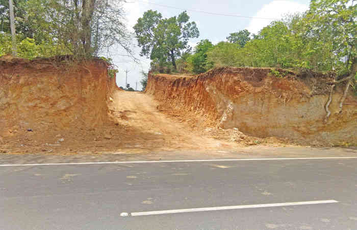 બાલારામ-અંબાજી અભ્યારણ વિસ્તારમાં બાંધકામ અને રોડ બનાવી દેવાયા 1 - image