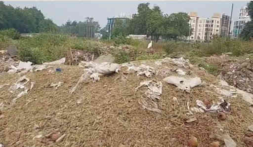 વડોદરામાં છાણી કેનાલ પાસે ખુલ્લામાં ઠાલવવામાં આવેલો ઢગલાબંધ મેડિકલ વેસ્ટ 2 - image