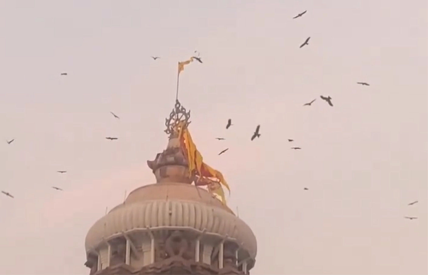 VIDEO: જગન્નાથ મંદિરના શિખર પર ઉડતા જોવા મળ્યા ગરુડ, કોઈ અશુભ ઘટનાનો સંકેત? 1 - image