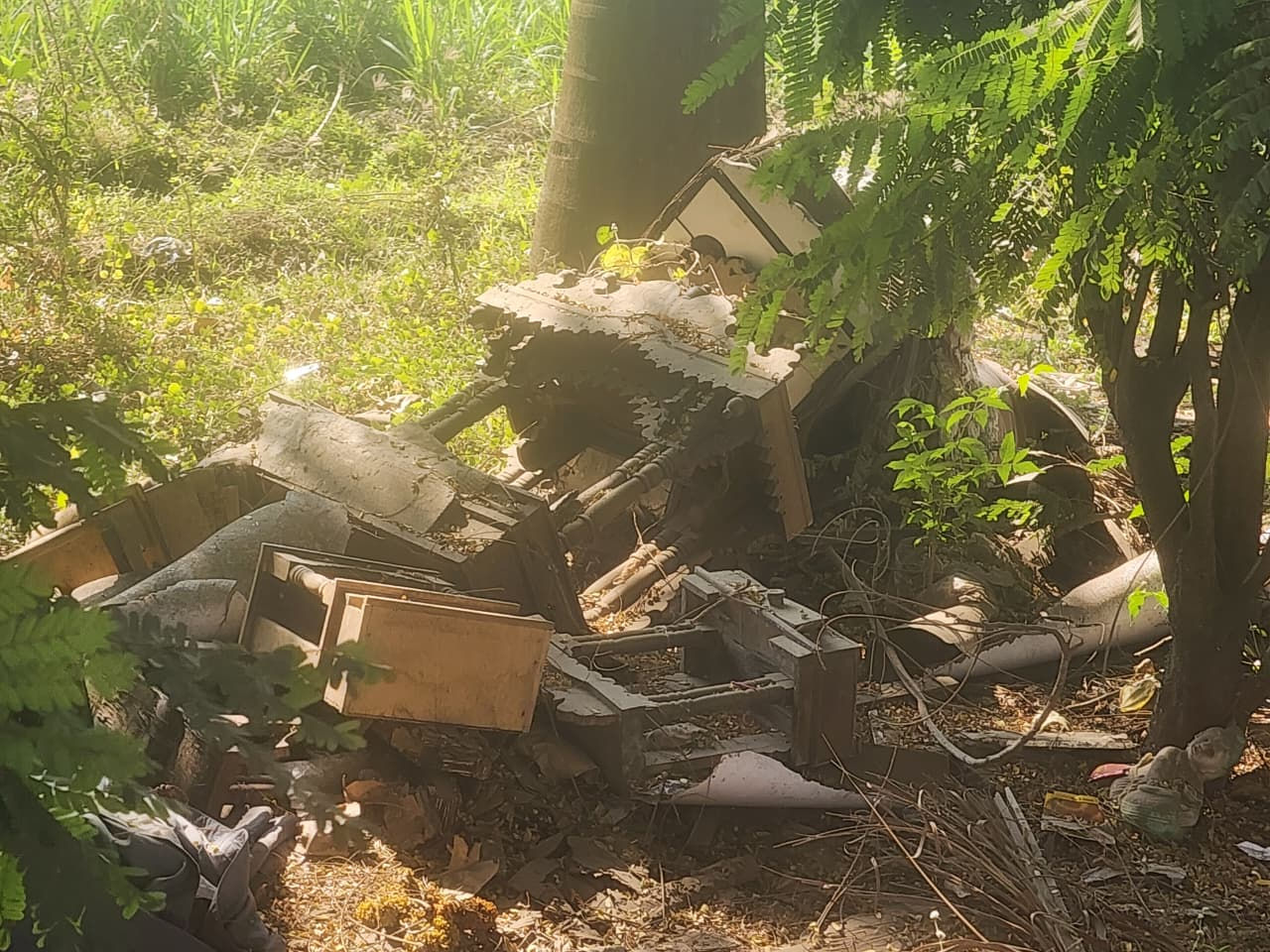 આસ્થાનું અપમાન: સુરતના રસ્તાઓ પર રઝળતા મંદિરો, લોકોની બેદરકારીથી શ્રદ્ધાળુઓની લાગણી દુભાઈ 3 - image