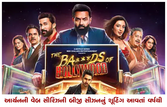 આર્યનની વેબ સીરિઝની બીજી સીઝનનું શૂટિંગ આવતાં વર્ષથી 1 - image