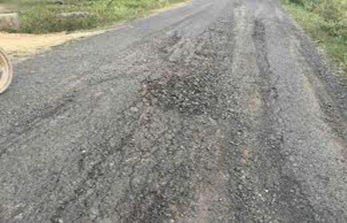 હિંડોરડાથી જુની બારપટોળીના પાટીયા સુધીનો માર્ગ બિસ્માર 1 - image