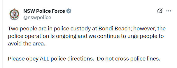 ઑસ્ટ્રેલિયાના બીચ પર લાશો વિખેરાઈ, અત્યાર સુધીમાં 12ના મોત: યહૂદી ફેસ્ટિવલ દરમિયાન આતંકવાદી હુમલો 3 - image