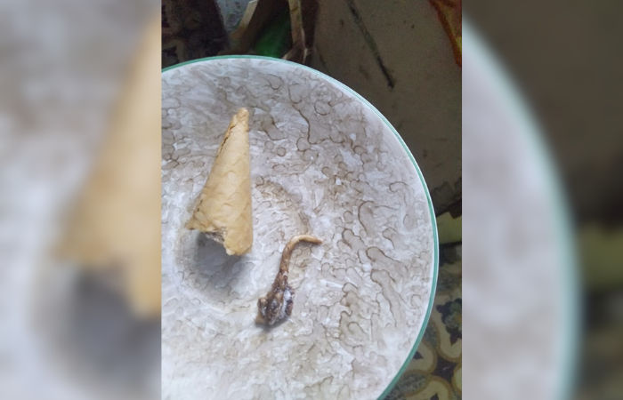 Woman finds lizard's tail in ice-cream cone in Ahmedabad, shop sealed