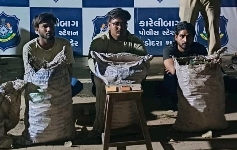 શહેરમાં BSNLના સાધનોની ચોરતી પરપ્રાંતીય ત્રિપુટી પકડાઇ,1000 ડિસ્ટ્રિબ્યુશન મોડ્યુલ કબજે 1 - image