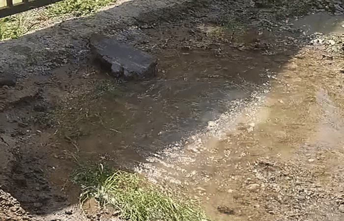 વડોદરાના અટલાદરામાં પ્રમુખ બજાર પાસે પાણી લાઈન તૂટતા પાણીનો વેડફાટ 1 - image