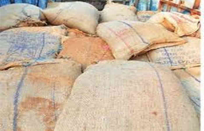 વિરમગામમાં 50 બોરી શંકાસ્પદ ઘઉંના જથ્થા સાથે ત્રણ શખ્સો ઝડપાયા | In  Virmagam 50 sacks of suspected wheat were seized with three persons -  Gujarat Samachar