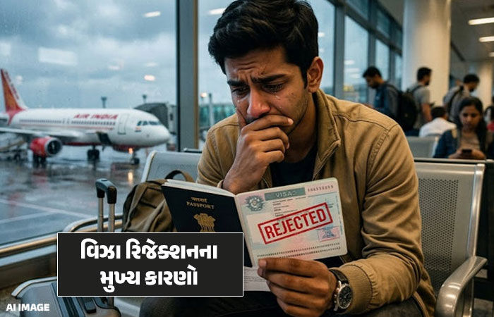 વિઝા એપ્લિકેશનમાં રિજેક્શનથી બચવા માટે આ ભૂલ ના કરશો, જાણો કઈ કઈ બાબતોનું ધ્યાન રાખવું 1 - image