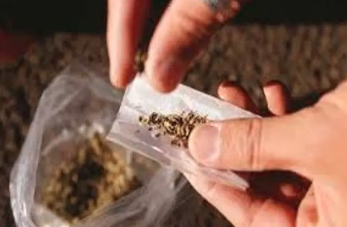 Ahmedabad Cyber Police seize 422g hybrid cannabis worth ₹14 lakh, supplier traced to Snapchat ID