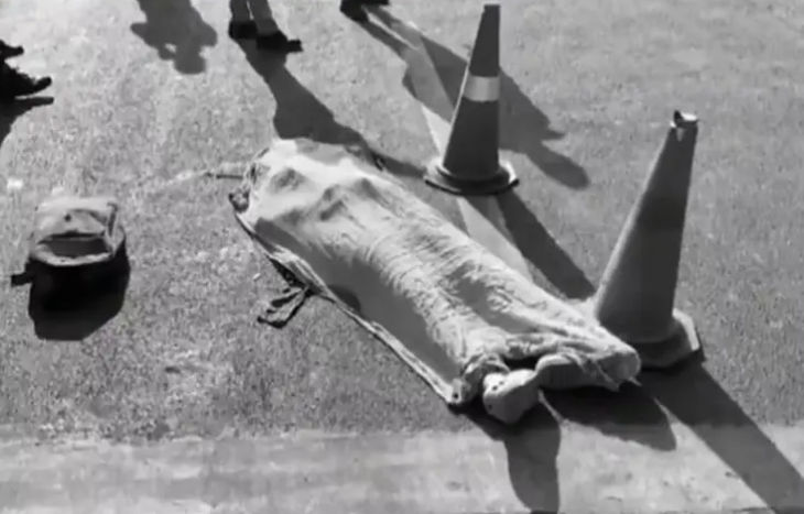 Woman killed in hit-and-run accident in Ahmedabad