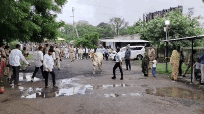 પિતાએ પુત્રને હરાવ્યો તો કોઈ એક વોટથી બન્યા સરપંચ, જુઓ ગુજરાતની પંચાયતની ચૂંટણીના પરિણામ 3 - image
