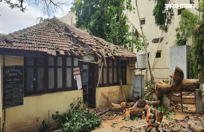 જામનગર: ભારે પવનના કારણે મહાકાય વૃક્ષ પડતા મહિલા પોલીસ મથક બન્યુ ખંડેર, સરકારી સામાનને મોટું નુકસાન 1 - image