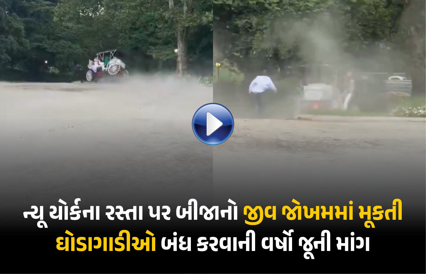 ન્યૂ યોર્કની ઘોડાગાડી: ભારતીય યુવકના મોત બાદ 200 વર્ષ જૂની પરંપરા પર સવાલો