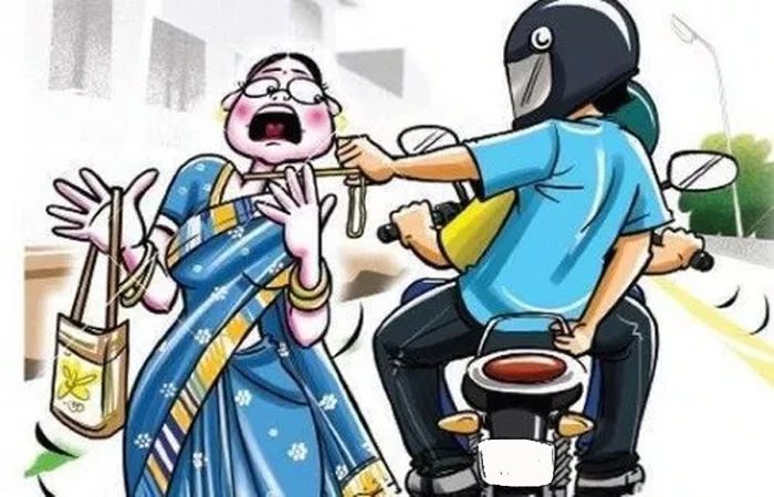 મોર્નિંગ વોકમાં ચાલતી વૃદ્ધાની ચેઇન તોડનારા ઝડપાયા 1 - image