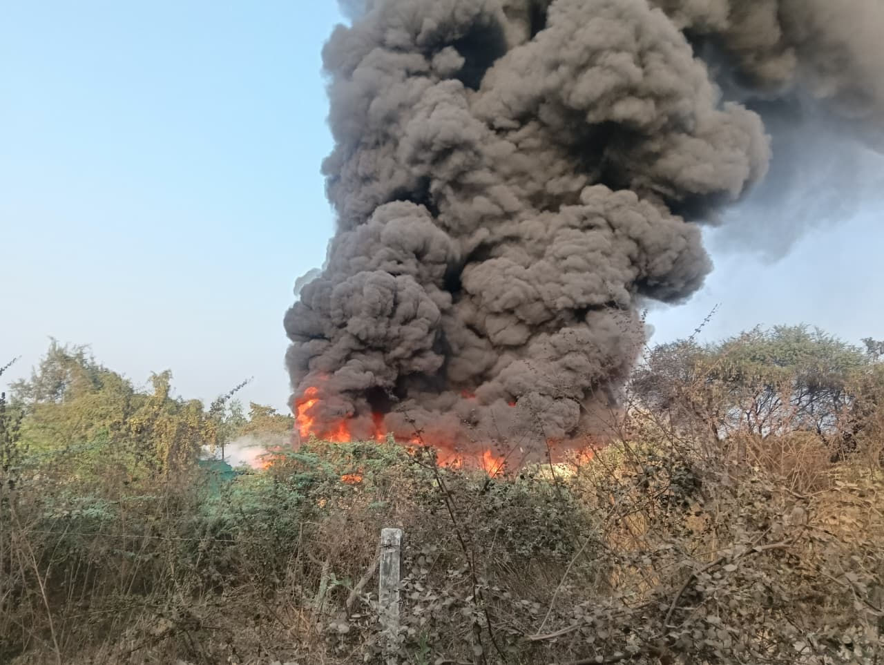 હાલોલ-પાવાગઢ રોડ પર સ્ક્રેપના ગોડાઉનમાં ભીષણ આગ; આકાશમાં ધુમાડાના ગોટેગોટા, ફાયર ફાઈટરો ઘટનાસ્થળે 5 - image