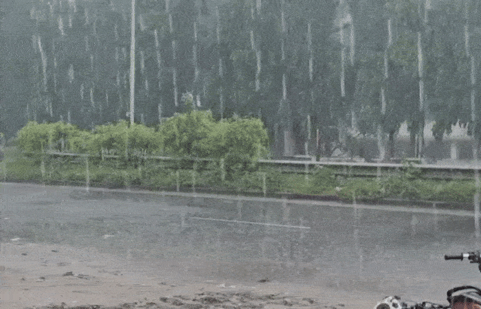 ગુજરાતના 106 તાલુકામાં કમોસમી વરસાદ, સૌથી વધુ અમદાવાદના ધંધુકા અને પોરબંદરમાં ખાબક્યો 1 - image