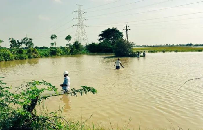 Flooded salt pans in Suigam and Santalpur cause losses worth crores to the salt industry