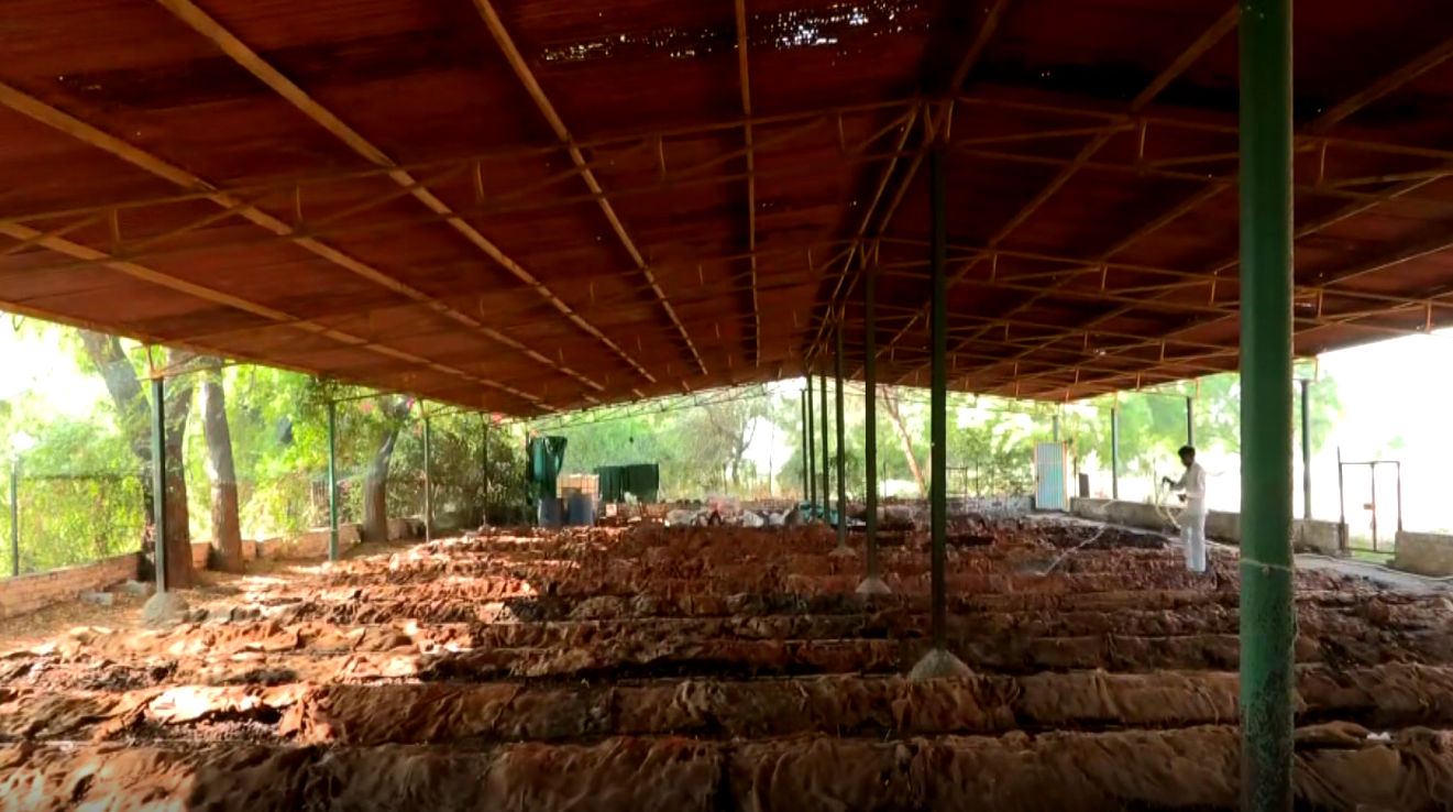 LPGના ભાવ વધે કે તંગી થાય, અડાલજની આ સંસ્થાને કોઈ ફર્ક પડતો નથી! જાણો 500 લોકોની રસોઈ કેવી રીતે બને છે રોજ 2 - image