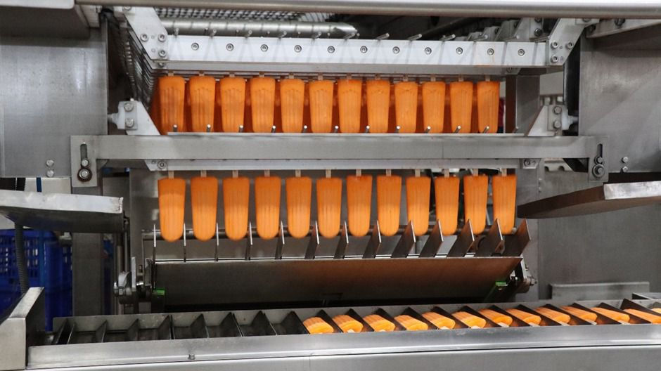 કચ્છની સહકારી ક્રાંતિ:  સરહદ ડેરીએ ઊંટડીના દૂધ અને આઈસ્ક્રીમ પ્લાન્ટથી પશુપાલકોને કર્યા માલામાલ 3 - image