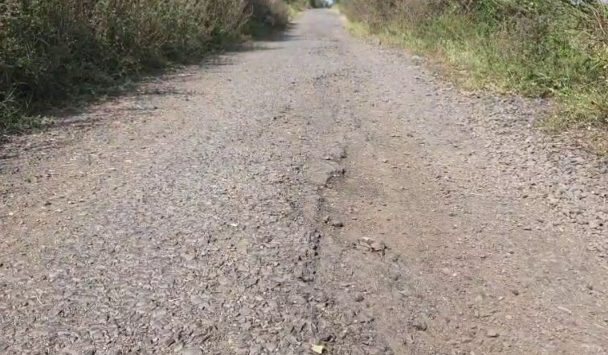 VIDEO | છોટાઉદેપુર: નસવાડીના પલસાણીથી ખંભાયતા ચોકડી સુધીના રોડ પર મોટા ખાડાથી અકસ્માતનો ભય, રાહદારીઓ પરેશાન 2 - image