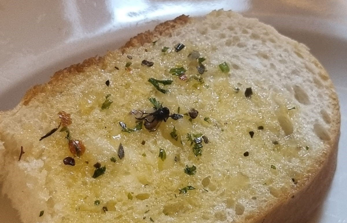Customer alleges dead fly in garlic bread at Sindhu Bhavan cafe, files complaint with AMC