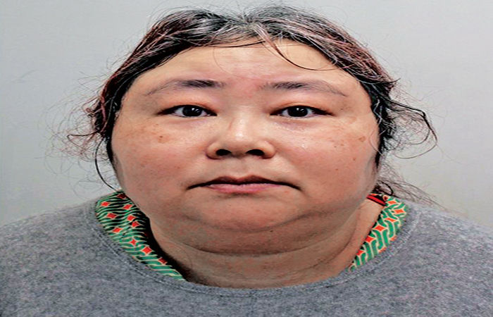 યુકેમાં 6.7 અબજ ડોલર્સનું ક્રિપ્ટો કૌભાંડ કરનારી ચીની મહિલા ઝડપાઇ 1 - image