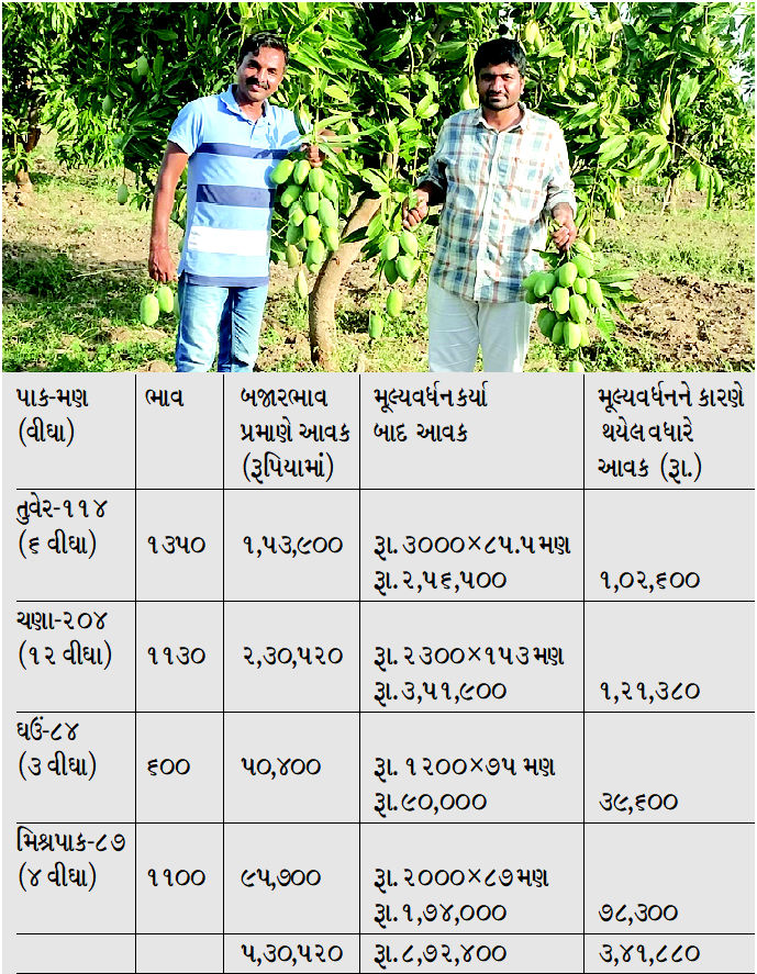 પરંપરાગત ખેતી પાકમાં પણ મૂલ્યવર્ધન એ આર્થિક વૃદ્ધિનો શ્રેષ્ઠ ઉપાય 2 - image