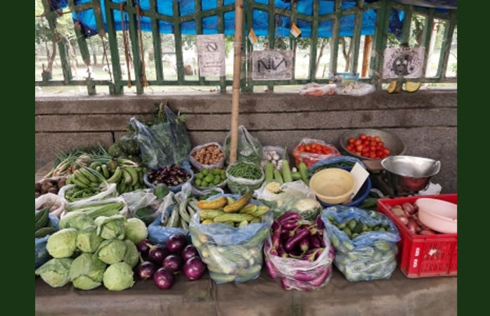 જથ્થાબંધ મોંઘવારી માર્ચમાં ઘટી 2.05 ટકા નોંધાઈ, ખાદ્ય ચીજો સસ્તી થઈ 1 - image