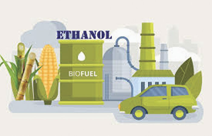 ઈંધણની અછતને ધ્યાનમાં રાખી ઈથેનોલ બ્લેન્ડિંગની માત્રા વધારવા માટે માંગ 1 - image