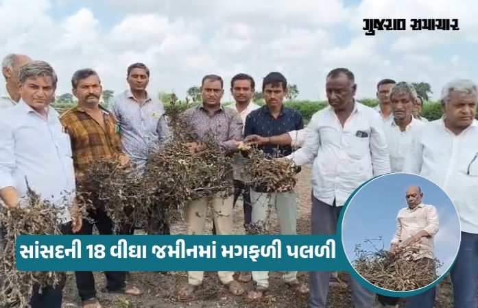 Farmers in Amreli