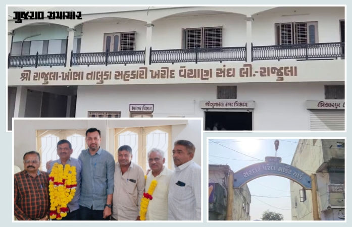 અમરેલી: રાજુલા માર્કેટિંગ યાર્ડના ચેરમેન તરીકે રાજુભાઈ પરસાણા અને વાઈસ ચેરમેન પદે પીઠાભાઈ નકુમની વરણી 1 - image